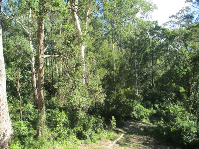 192 Wamban, Moruya NSW 2537