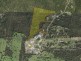 Lot 892 Pollwombra, Moruya NSW 2537