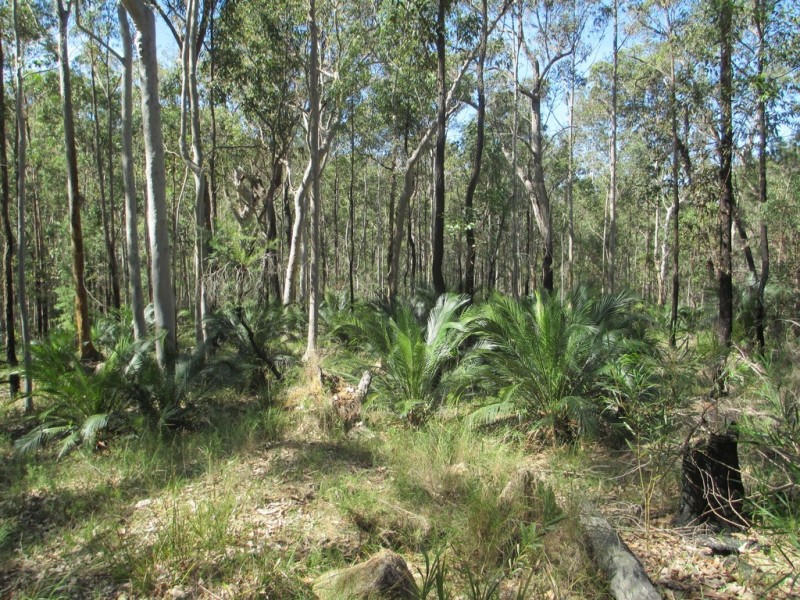 Lot 892 Pollwombra, Moruya NSW 2537