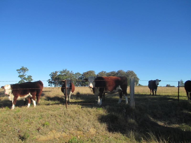 3427-3429 Princes Highway, Bergalia NSW 2537