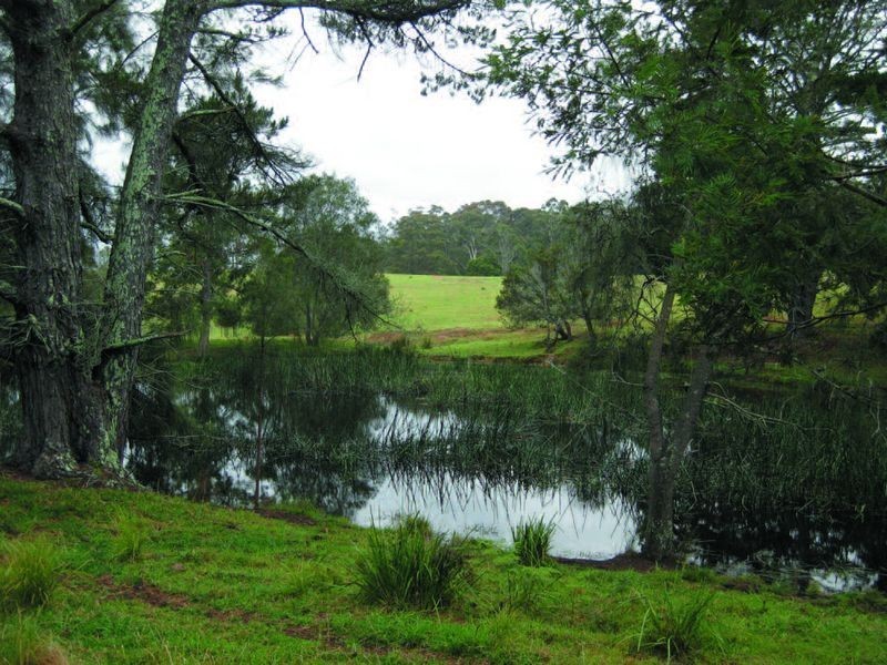 1 Gannons Point Road Long Paddock, Bodalla NSW 2545