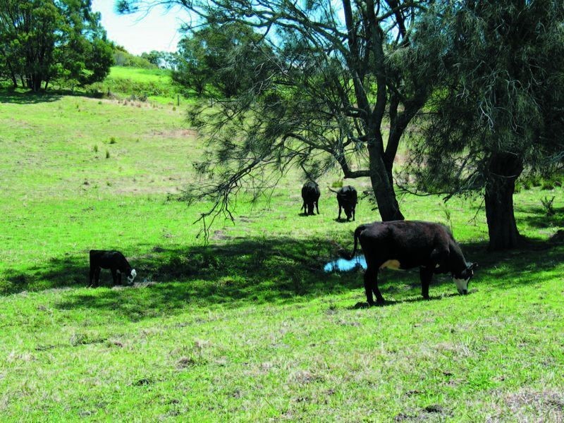 1 Gannons Point Road Long Paddock, Bodalla NSW 2545