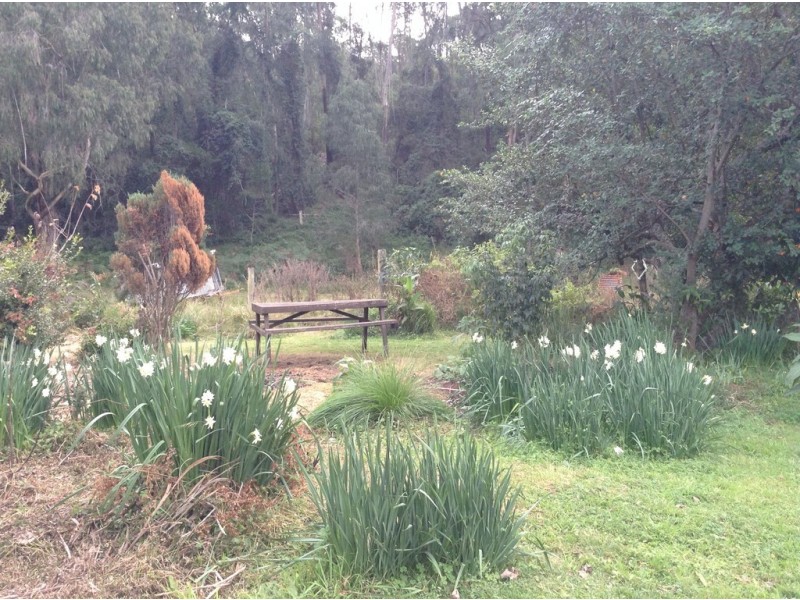 Deua River Valley NSW 2537