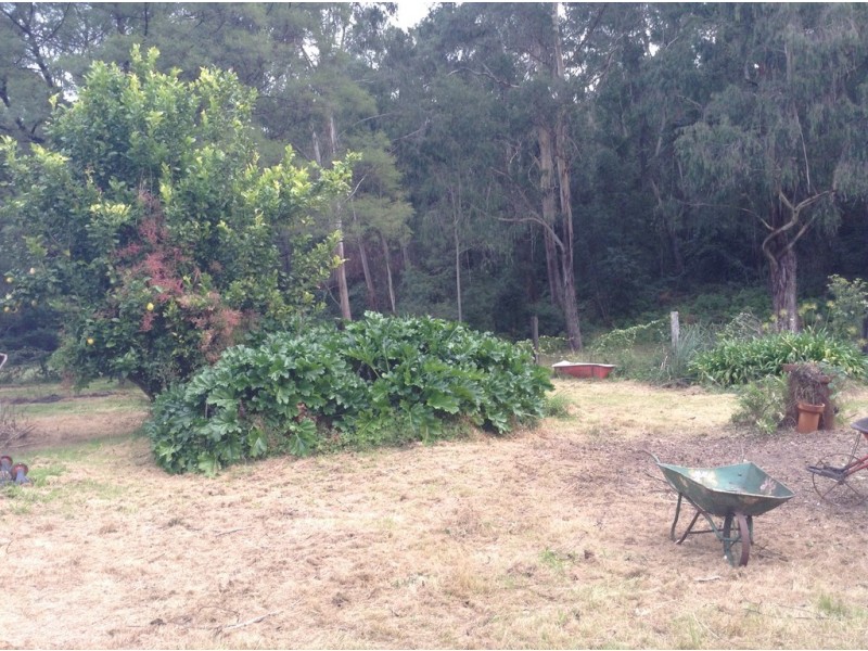 Deua River Valley NSW 2537