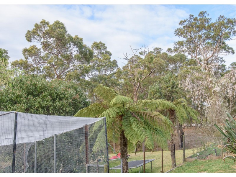 123 & 123A Percy Davis Drive, Moruya NSW 2537