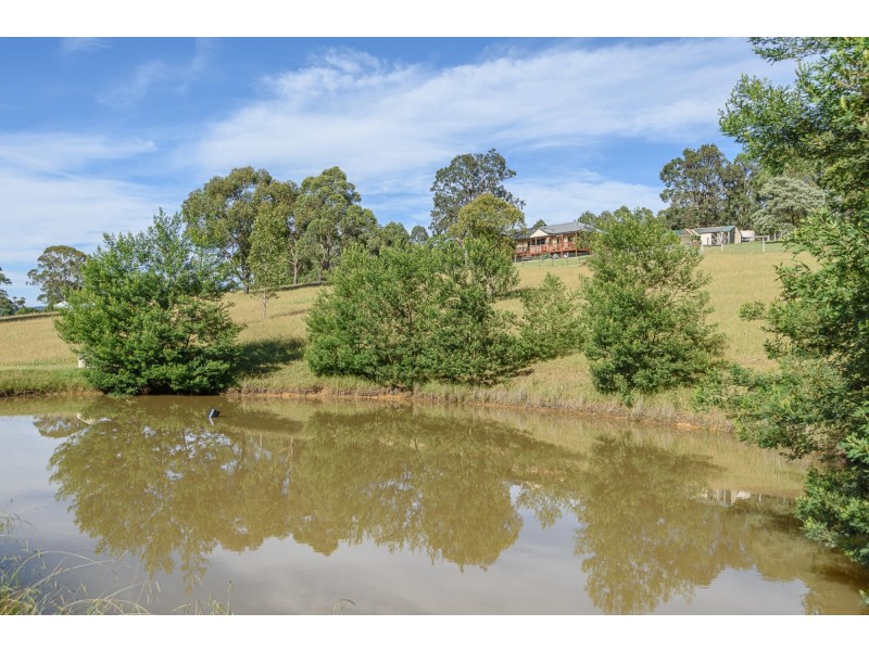 229 Wamban Road, Moruya NSW 2537