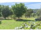 229 Wamban Road, Moruya NSW 2537