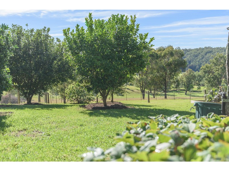 229 Wamban Road, Moruya NSW 2537
