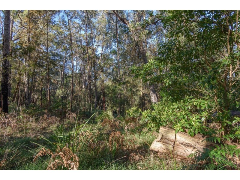 Lot 72 Bodalla Park Drive, Bodalla NSW 2545