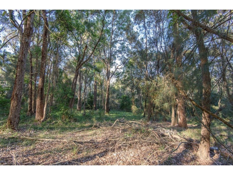 Lot 72 Bodalla Park Drive, Bodalla NSW 2545