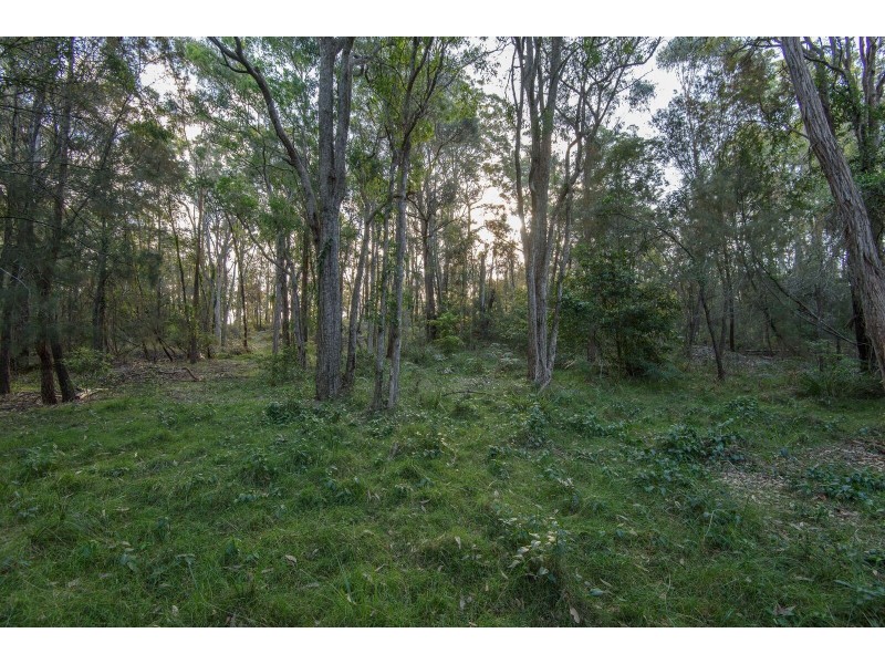 Lot 72 Bodalla Park Drive, Bodalla NSW 2545