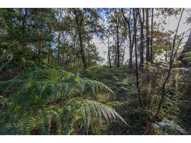 Lot 72 Bodalla Park Drive, Bodalla NSW 2545