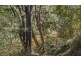 1391 Araluen Road, Moruya NSW 2537