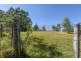 1391 Araluen Road, Moruya NSW 2537