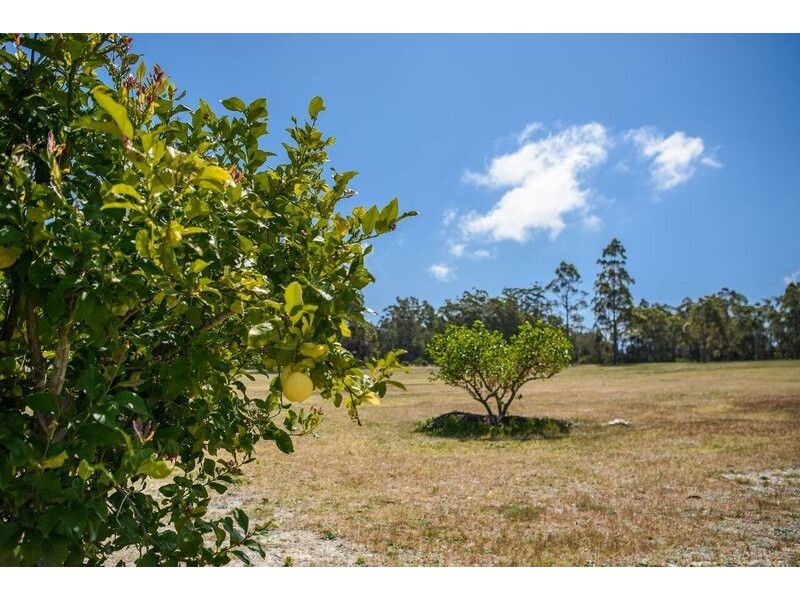 2 Old Mossy Point Road, Jeremadra NSW 2536