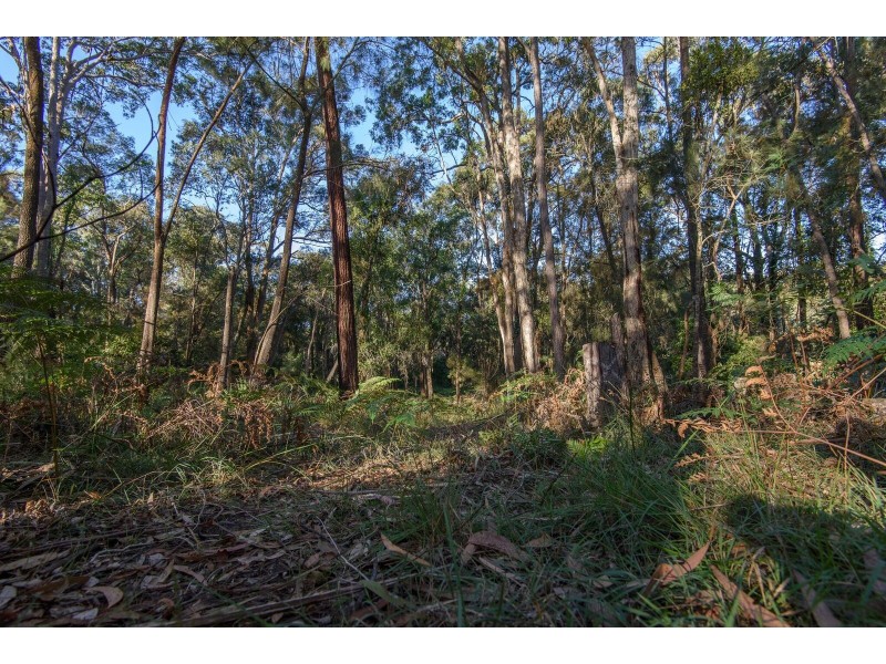 Lot 72 Bodalla Park Drive, Bodalla NSW 2545