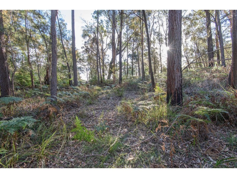 Lot 72 Bodalla Park Drive, Bodalla NSW 2545