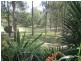 1546 Maulbrooks Road, Moruya NSW 2537