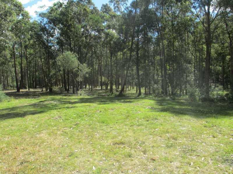 1546 Maulbrooks Road, Moruya NSW 2537