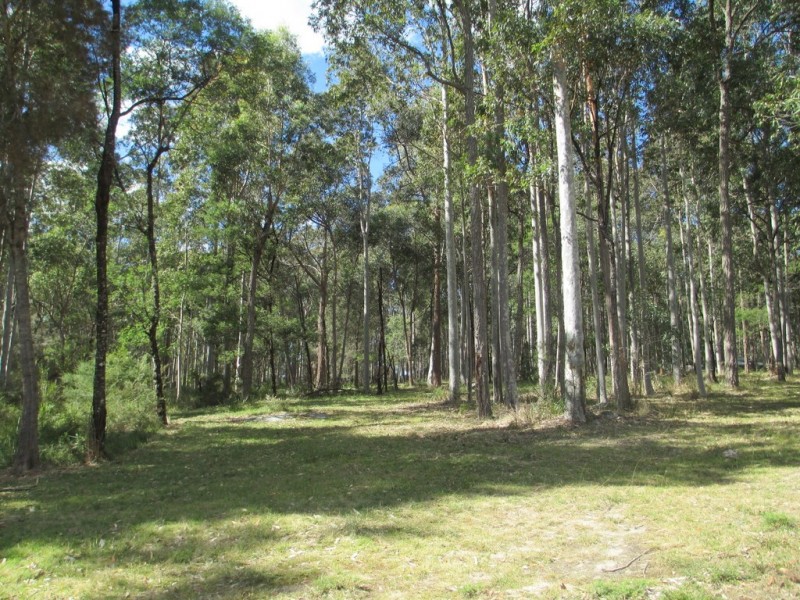 1546 Maulbrooks Road, Moruya NSW 2537