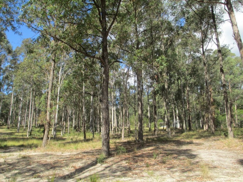 1546 Maulbrooks Road, Moruya NSW 2537