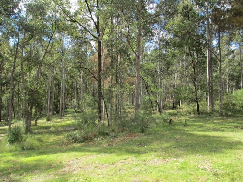 1546 Maulbrooks Road, Moruya NSW 2537