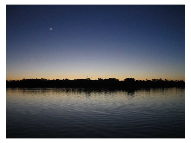 93D Trafalgar Road-Pickled Octopus, Tuross Head NSW 2537