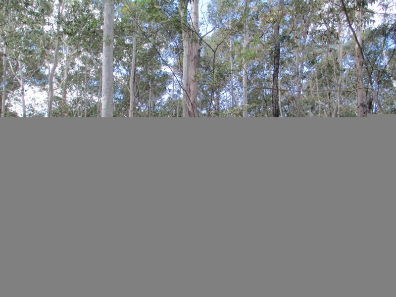 Lot 5 Horse Island Road, Bodalla NSW 2545