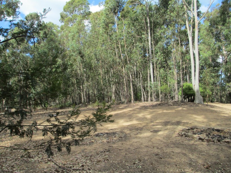 Lot 5 Horse Island Road, Bodalla NSW 2545