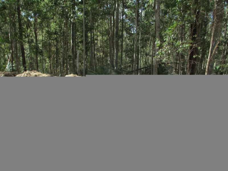 Lot 5 Horse Island Road, Bodalla NSW 2545