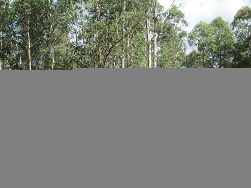 Lot 5 Horse Island Road, Bodalla NSW 2545