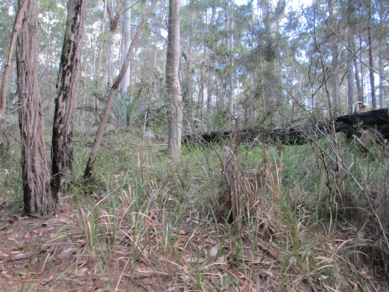 Lot 5 Horse Island Road, Bodalla NSW 2545