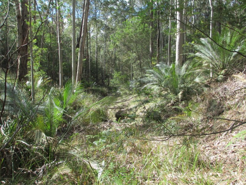 Lot 5 Horse Island Road, Bodalla NSW 2545