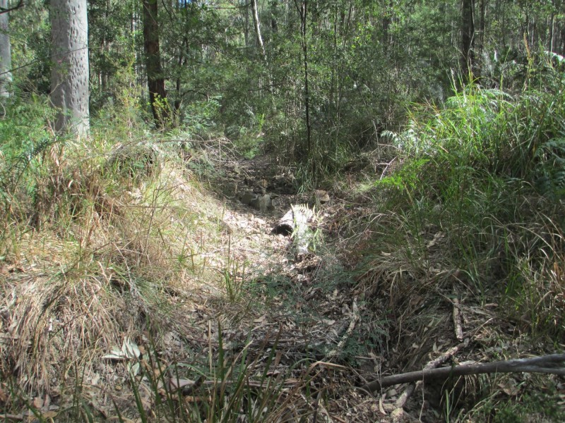 Lot 5 Horse Island Road, Bodalla NSW 2545