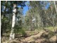 Lot 5 Horse Island Road, Bodalla NSW 2545