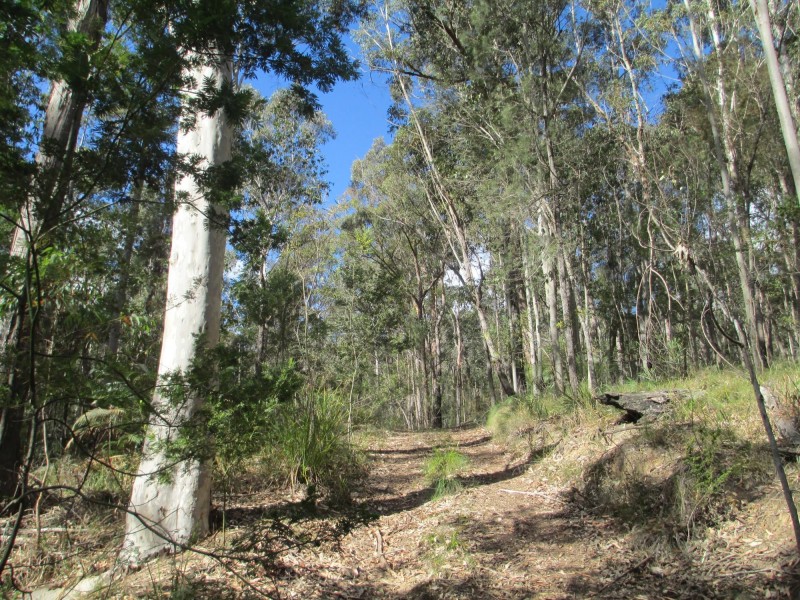 Lot 5 Horse Island Road, Bodalla NSW 2545
