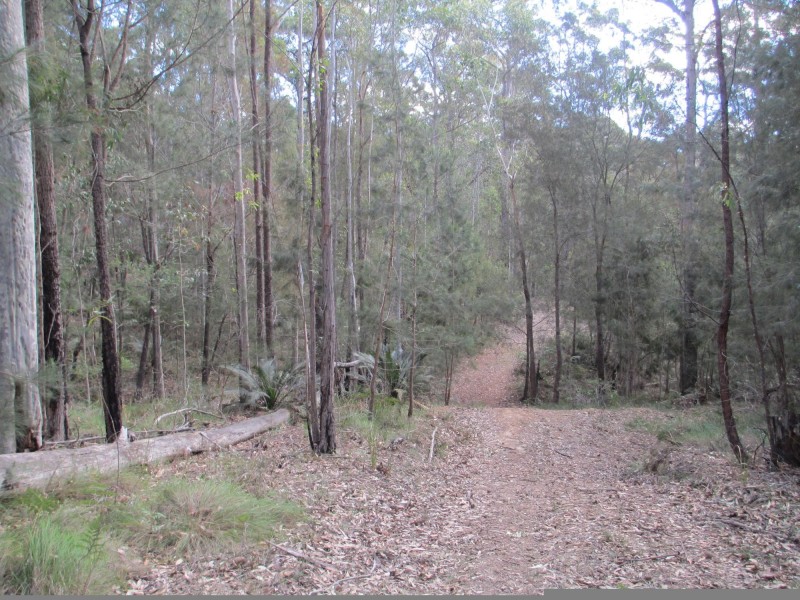 Lot 5 Horse Island Road, Bodalla NSW 2545