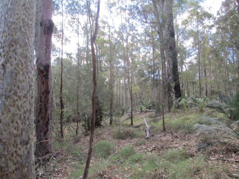 Lot 5 Horse Island Road, Bodalla NSW 2545