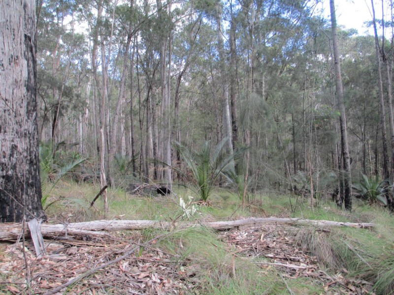 Lot 5 Horse Island Road, Bodalla NSW 2545