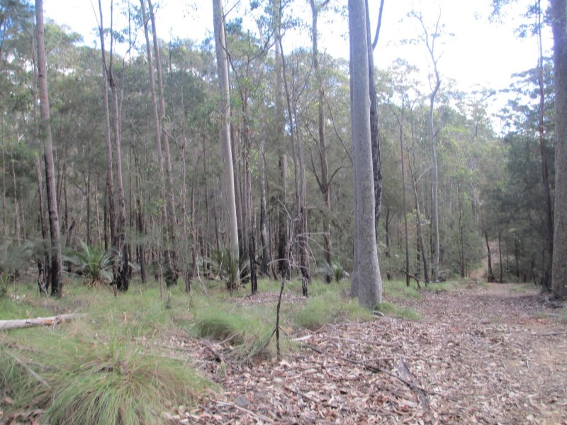 Lot 5 Horse Island Road, Bodalla NSW 2545