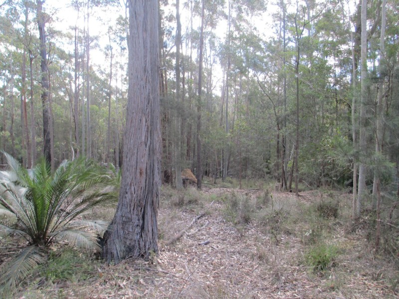 Lot 5 Horse Island Road, Bodalla NSW 2545