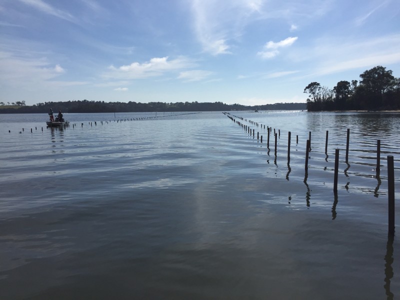 OL67/322 Tuross Lake, Tuross Head NSW 2537