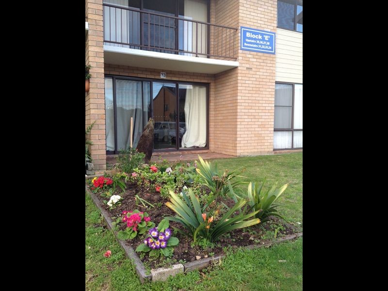 33/1-9 Wharf Rd, Surfside NSW 2536