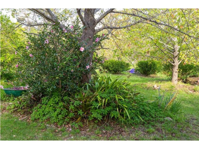 6 Janari Close, Moruya NSW 2537