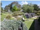 29 Kiora Street, Moruya NSW 2537