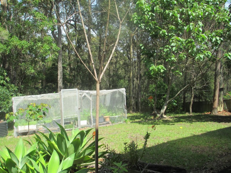 12 Headland Grove, Moruya Heads NSW 2537