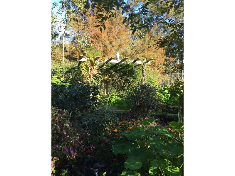 145 Hazel Road, Moruya Heads NSW 2537