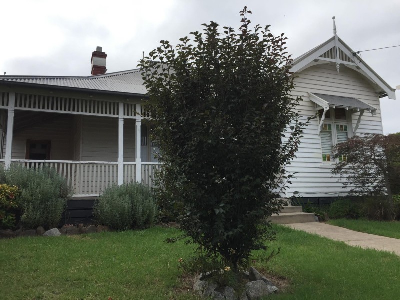 30 Moruya Street, Moruya NSW 2537