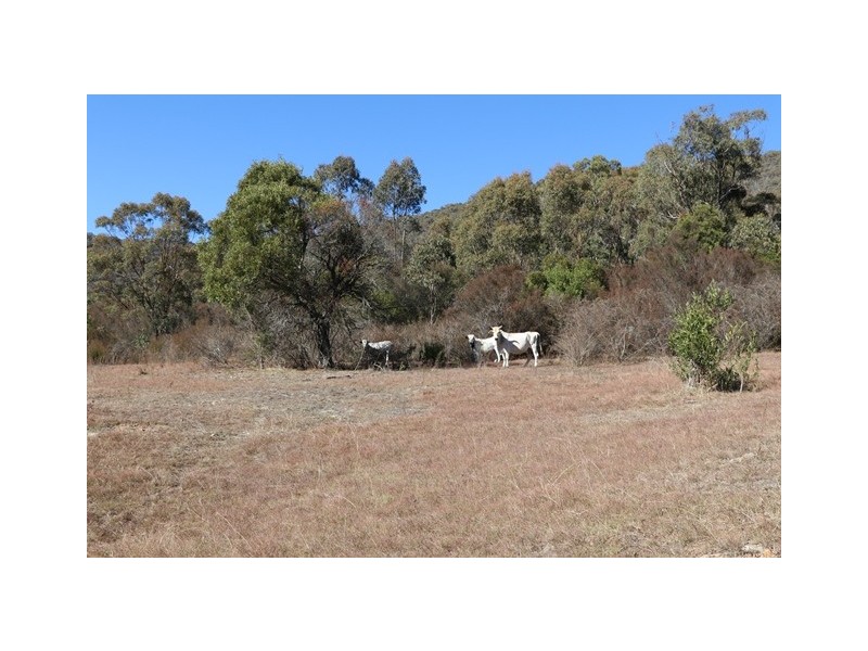 Lot 119 Nottingham Road, Wee Jasper NSW 2582