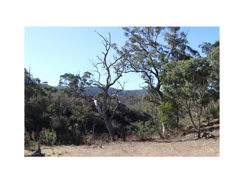 Lot 119 Nottingham Road, Wee Jasper NSW 2582
